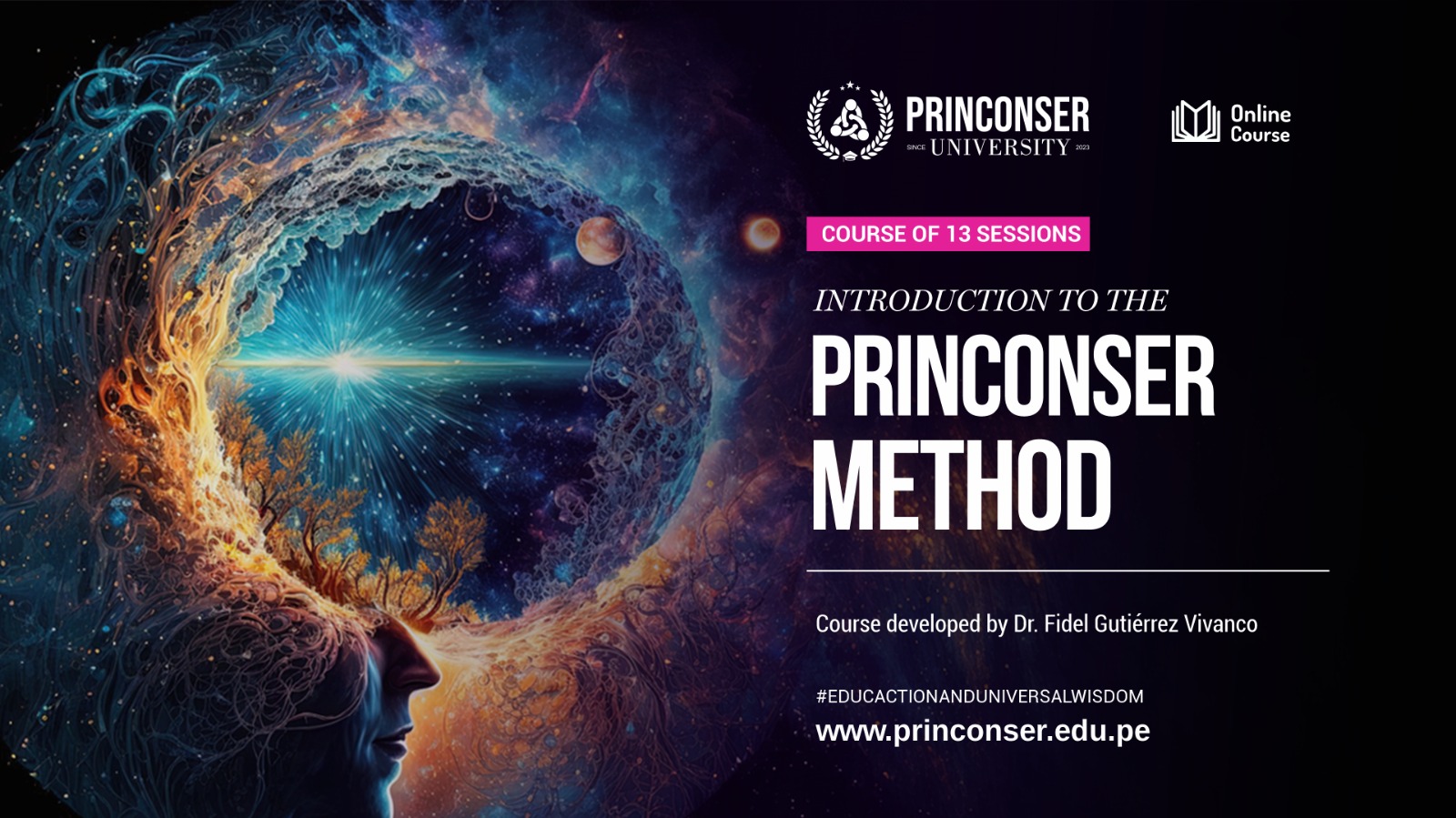 Introduction to the Princonser Method